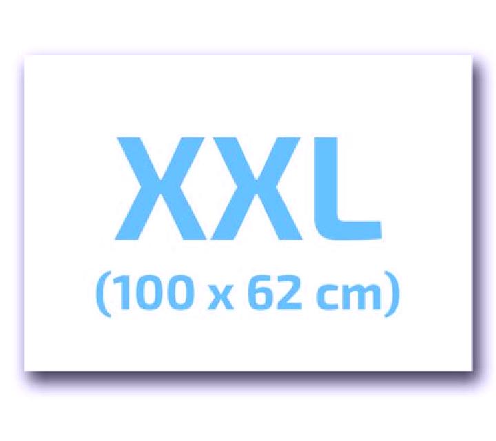 Katia Bustillo del Oro escort