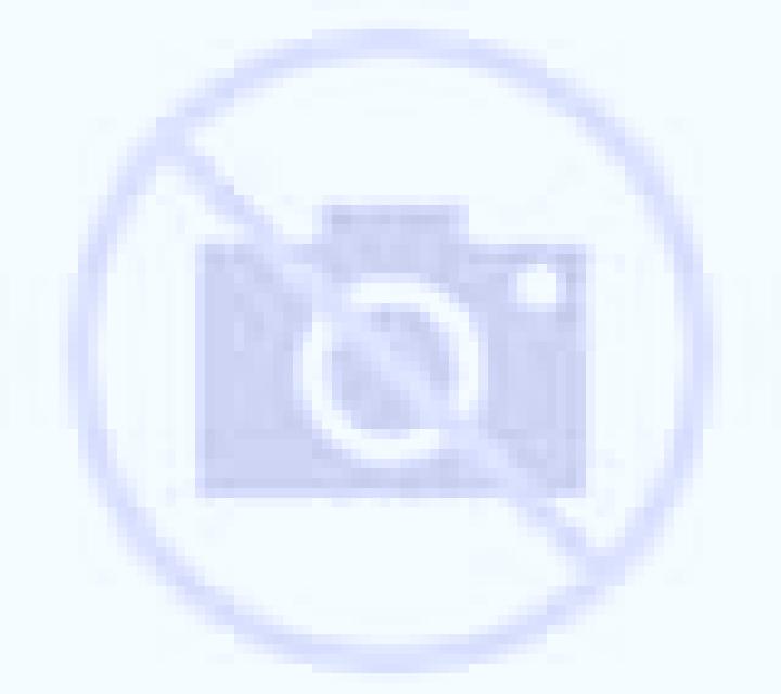 Lola Grisalena escort