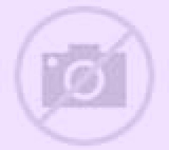 Lola Tamariz de Campos escort