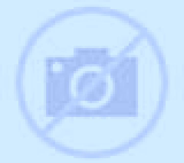 Lorena Coria escort