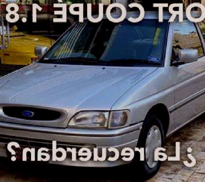 Lorena Zamayon escort