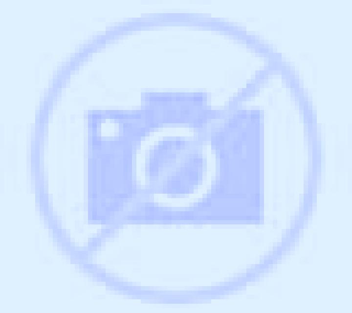 Malena Villarrabe escort