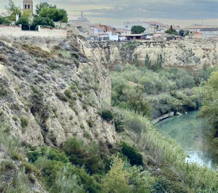 Mariana Orendain escort
