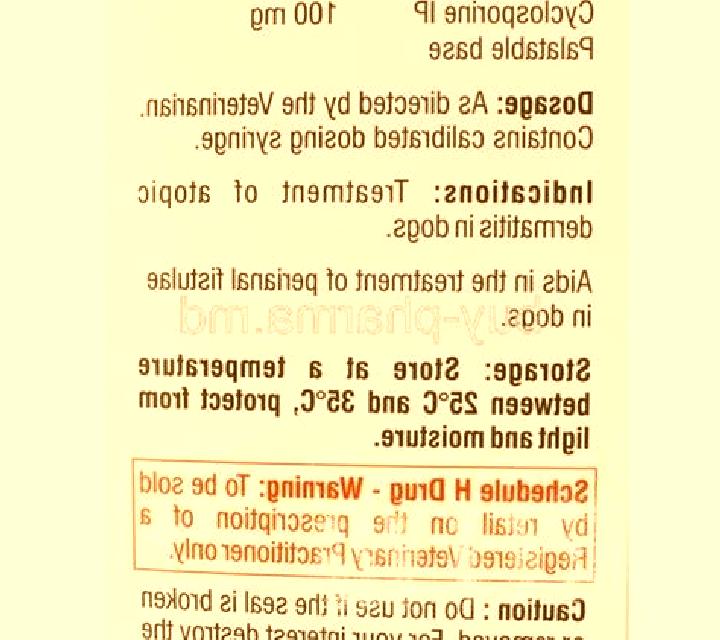 Mariana Tendilla escort