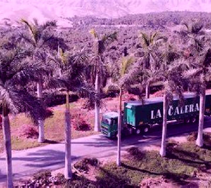 Martina 3 Cabeza del Buey escort