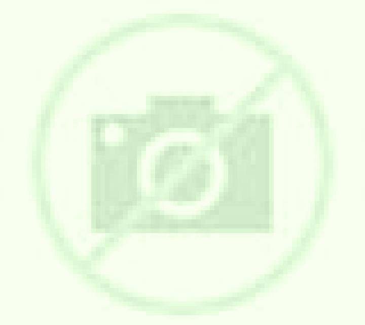 Miriam Nogales escort