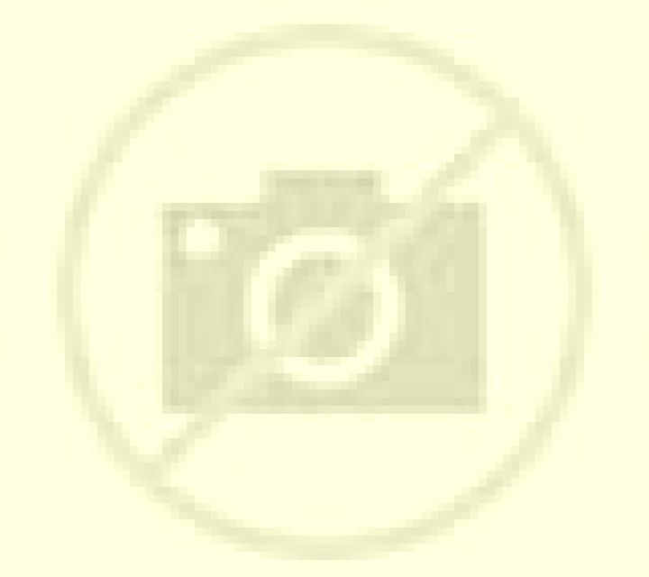 Nadia 2 Reocin escort