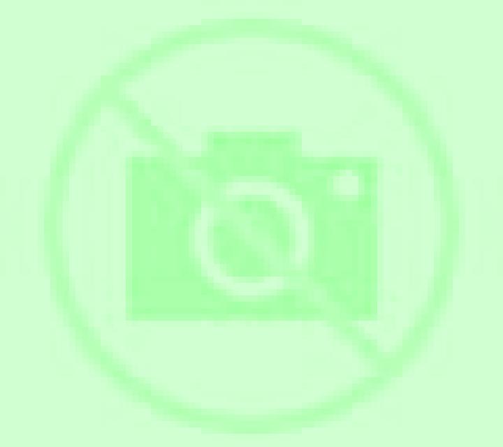 Nadia Renedo escort