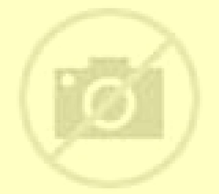 Nadia Viladecans escort