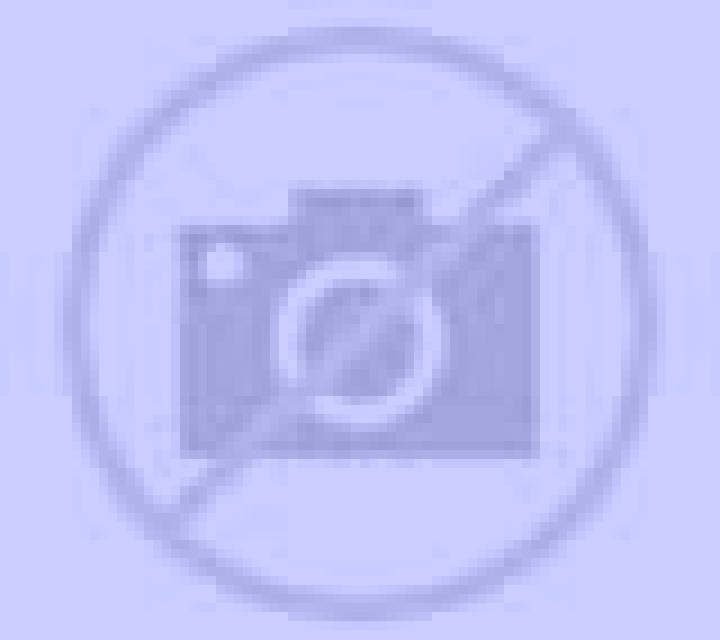 Natalia 2 Pedro Munoz escort