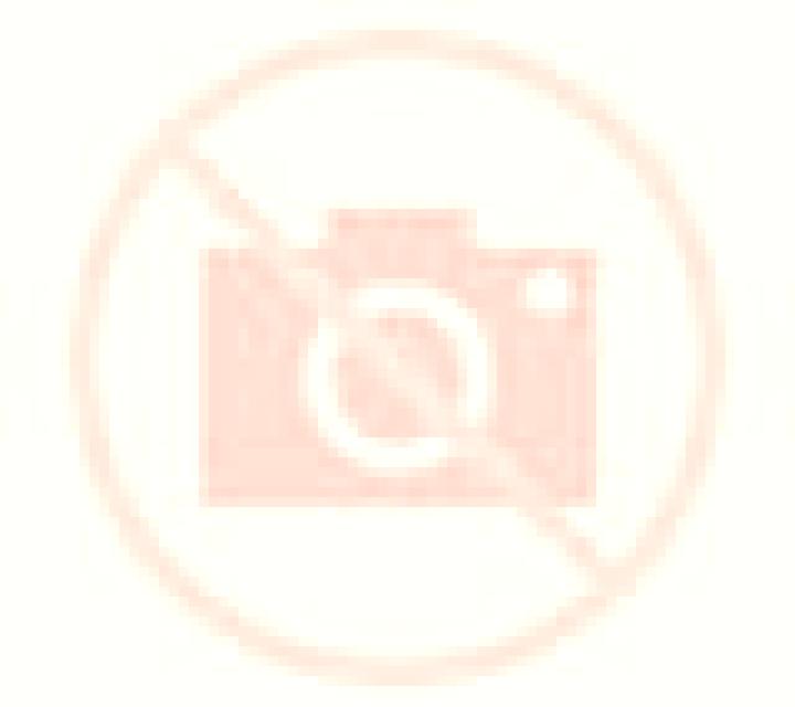Natalia Canovelles escort
