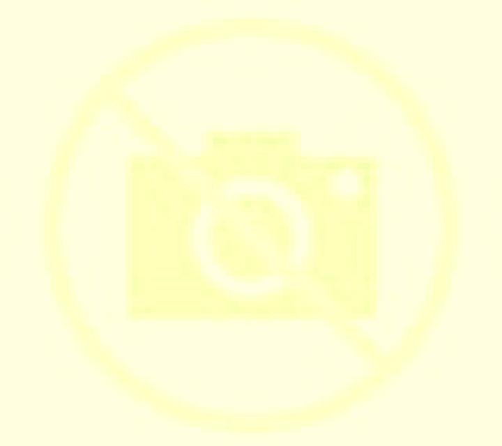 Noa 3 Velascalvaro escort