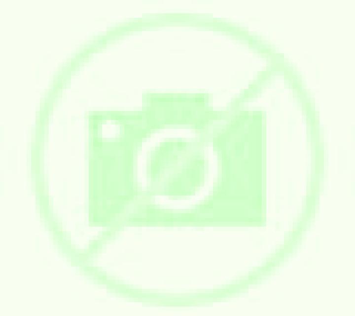 Noa Castil de Peones escort