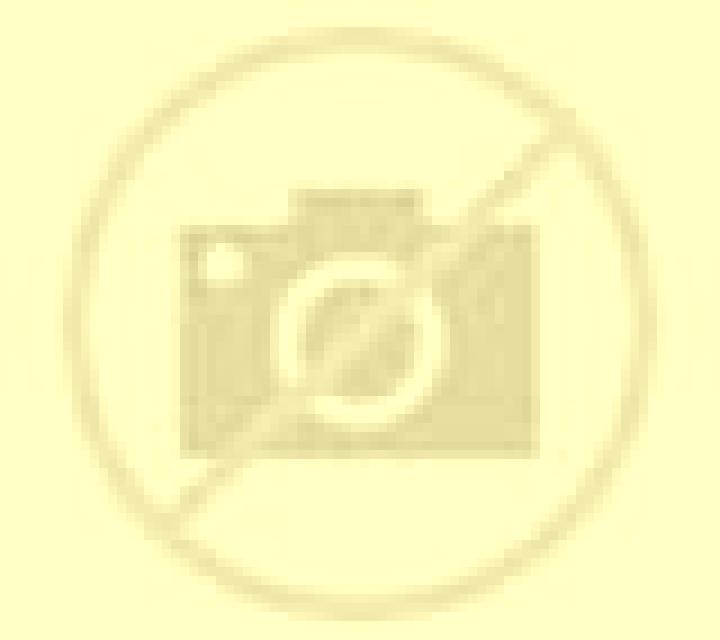 Noa Rafol de Almunia escort
