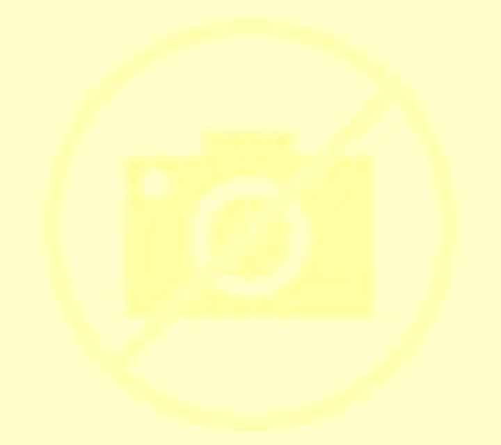 Noelia 2 Ciutadella escort