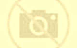 Noelia 2 Orrius escort