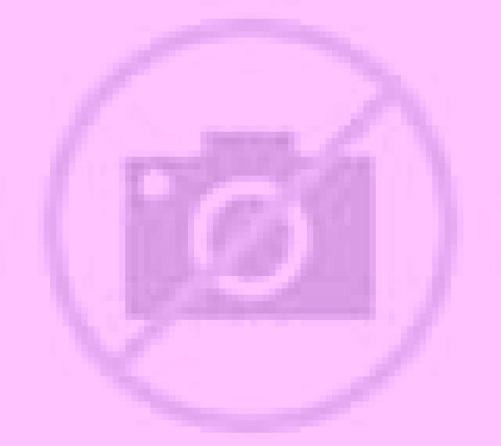 Noelia 3 Reus escort
