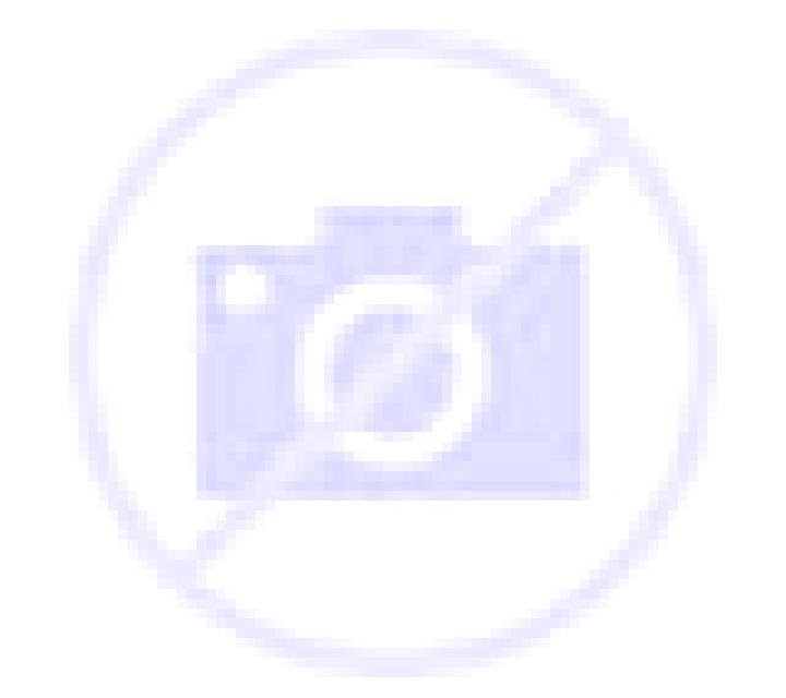 Noelia Candilichera escort