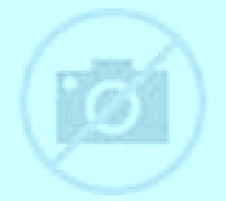 Nora Alcontar escort