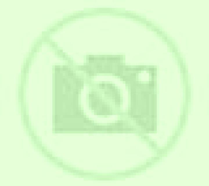 Nora Ane escort