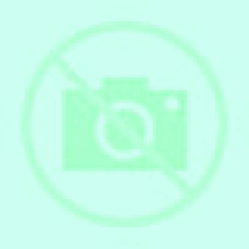Nora Begues escort