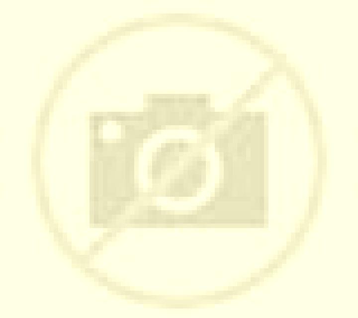 Nora Buitrago del Lozoya escort