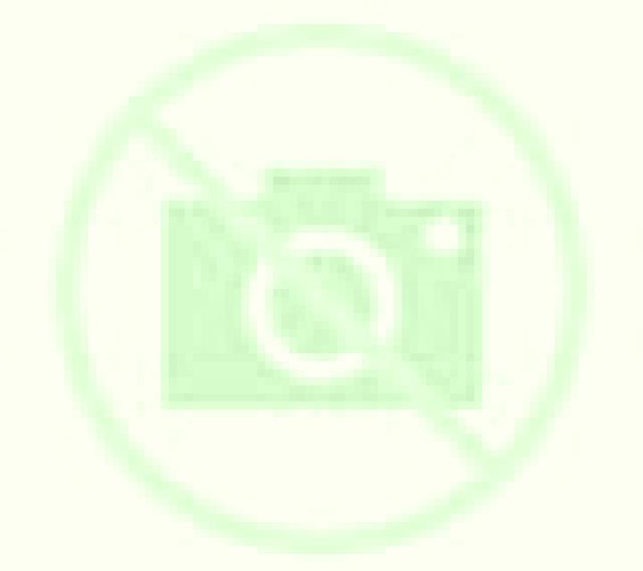 Paloma Borrenes escort