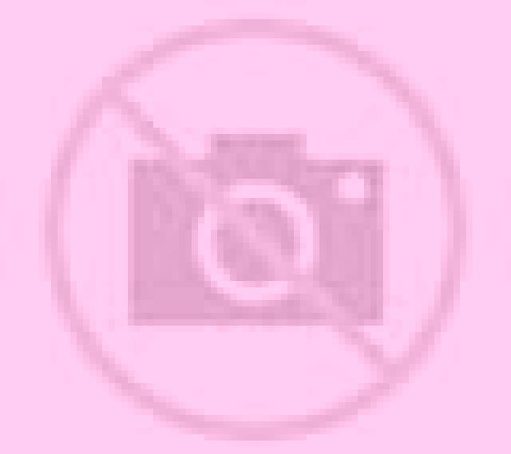 Paloma Orce escort