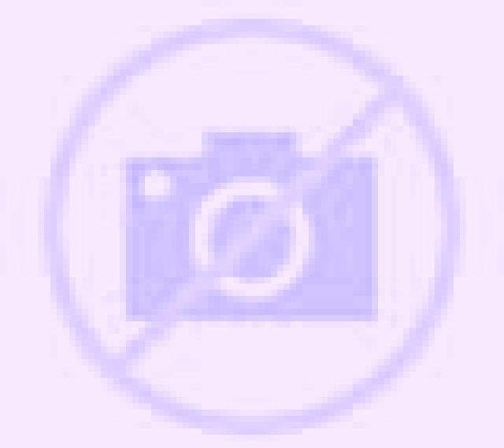 Paloma Tierz escort