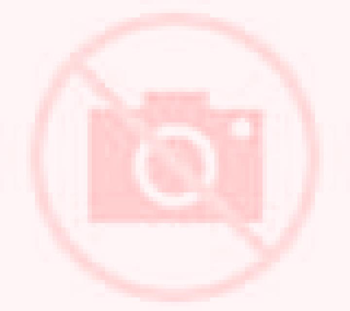 Patricia Herbes escort