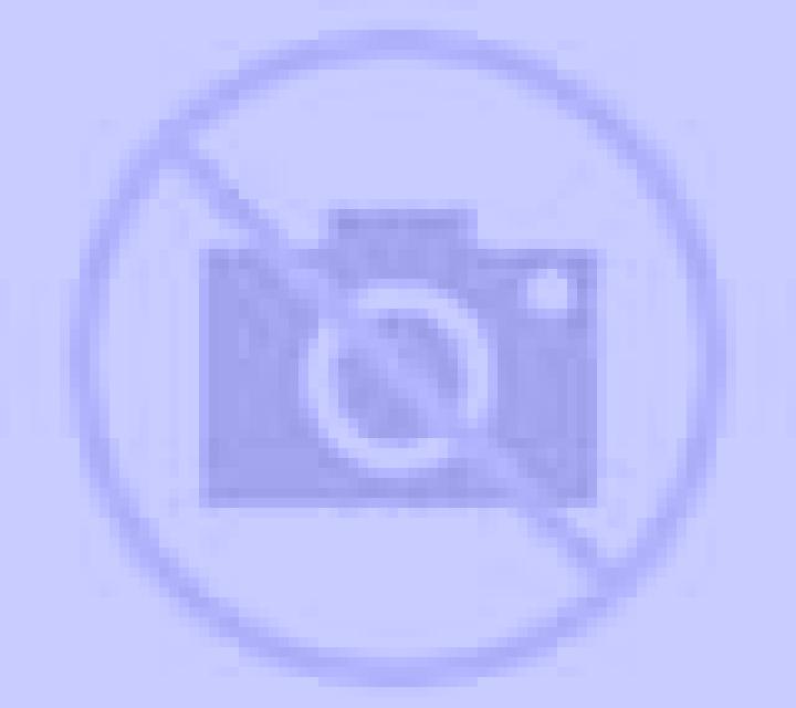 Paula 3 Castilforte escort