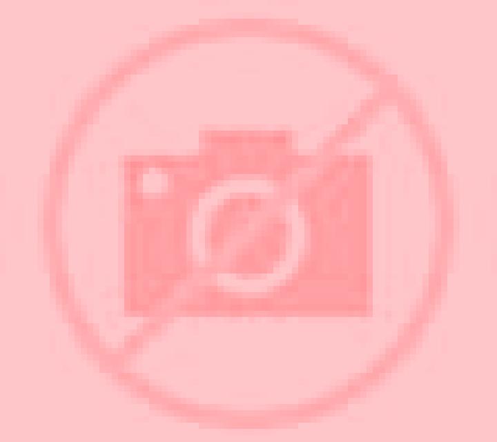 Paula 3 Sebulcor escort