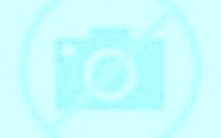 Paula Creixell escort