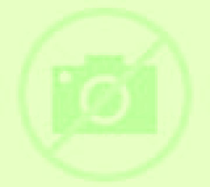 Paula Cuadros escort