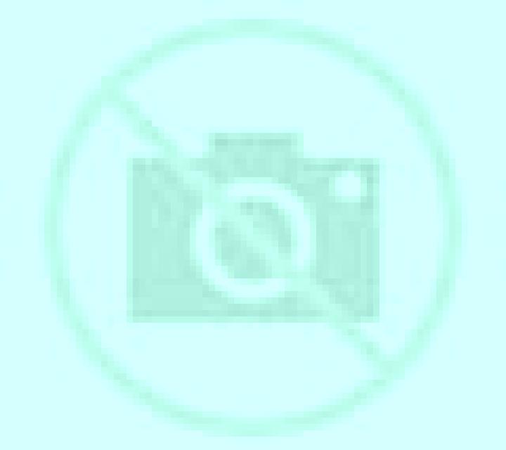 Regina 3 Fornalutx escort