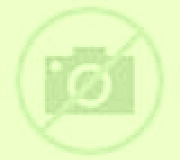 Regina Tolox escort