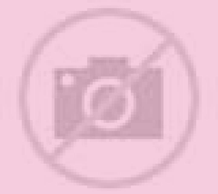 Regina Villamayor escort