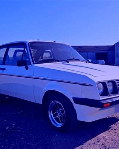 Rocío 3 Caballar escort