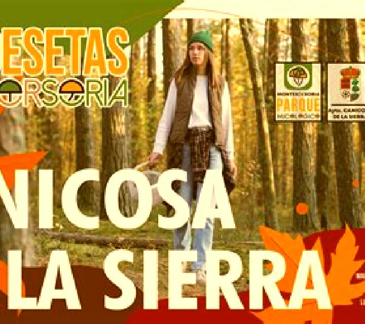 Rocío Villalba de Duero escort
