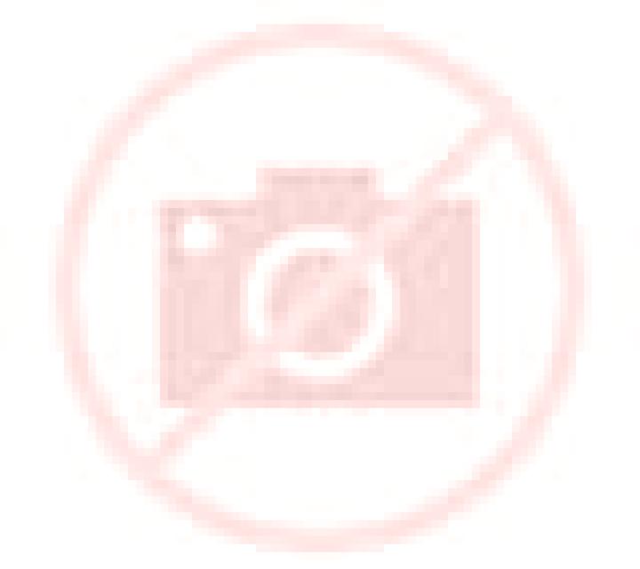 Rosa 2 Abarzuza escort