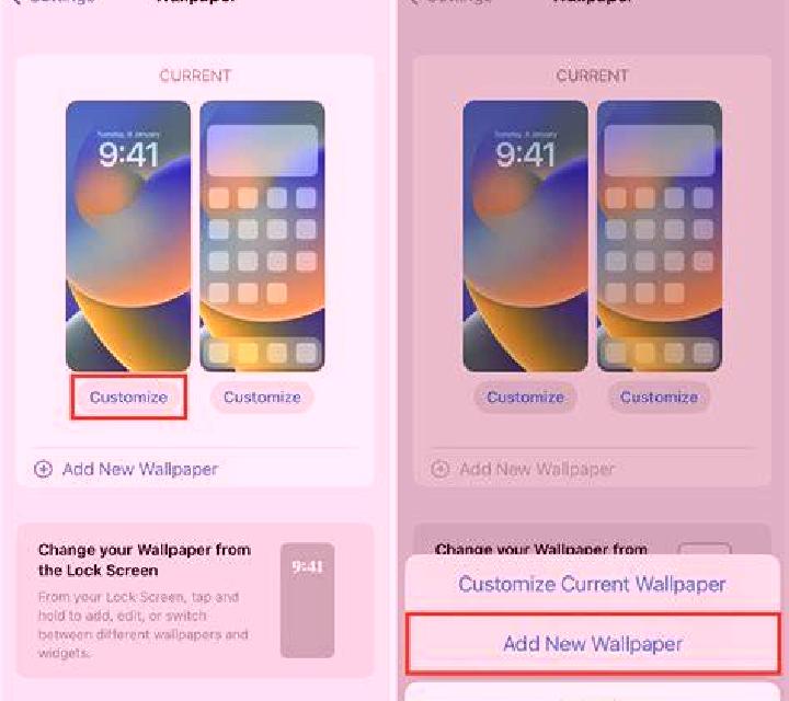 Rosa 2 Encinacorba escort