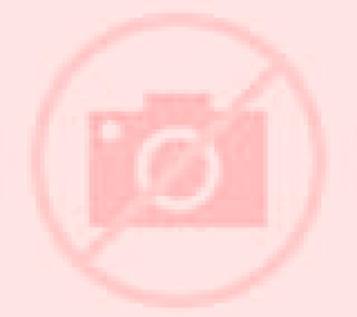 Rosa 2 Llanes escort