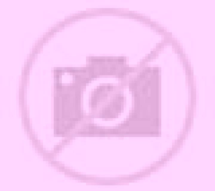 Rosa 2 Zarra escort
