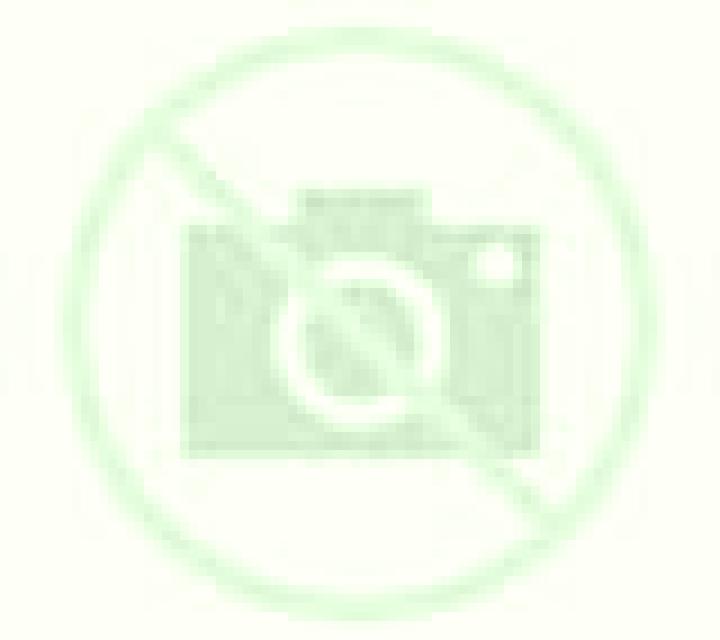 Rosa 3 Alia escort
