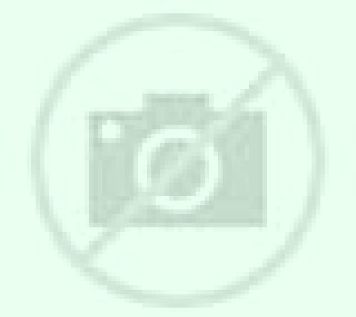 Rosa 3 Barceo escort