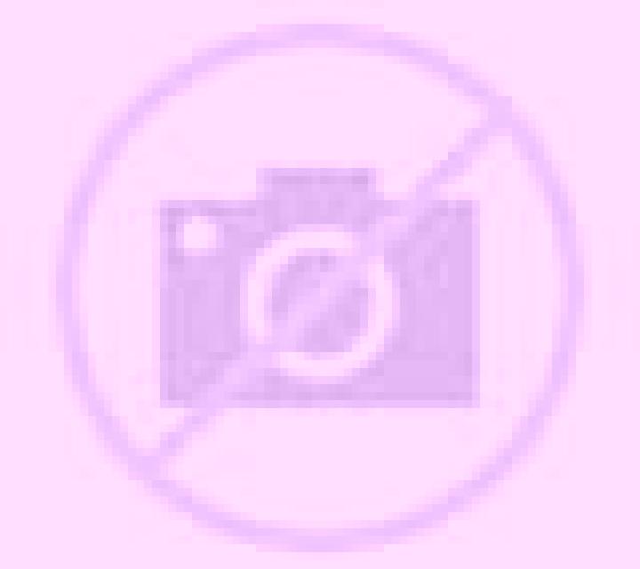 Rosa 3 Sariegos escort