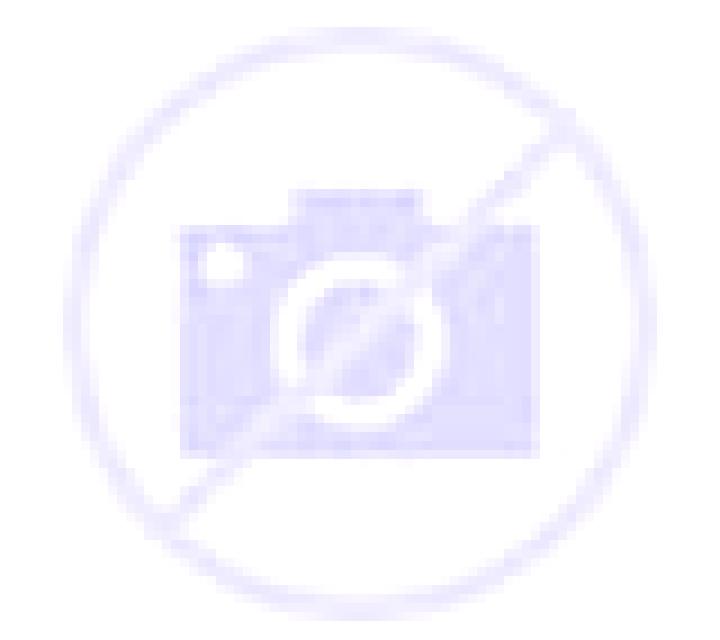 Rosa 3 Torralba de los Frailes escort