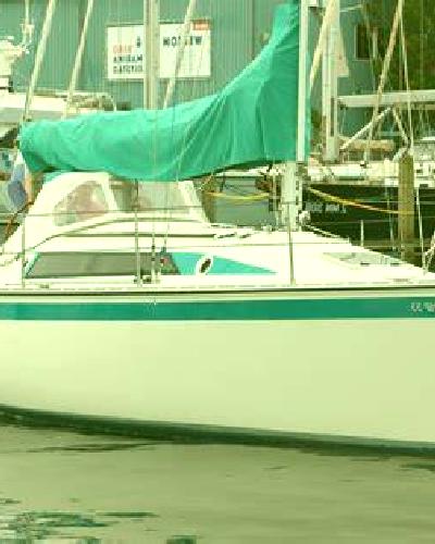 Rosa Buitrago escort