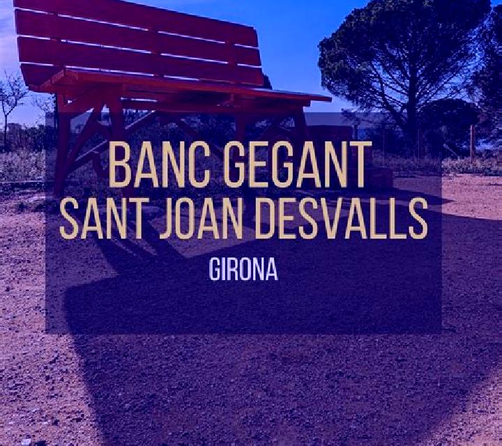 Rosa Grajal de Campos escort