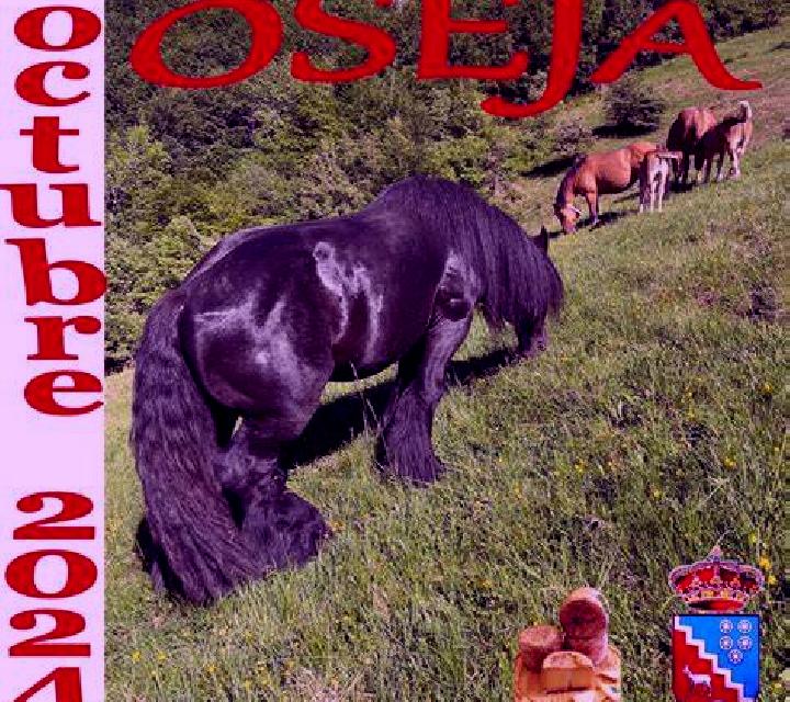 Salma 2 Orio escort